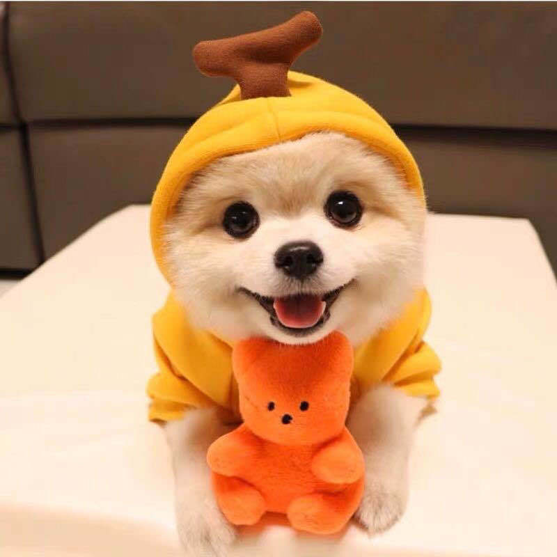 Fruit hats