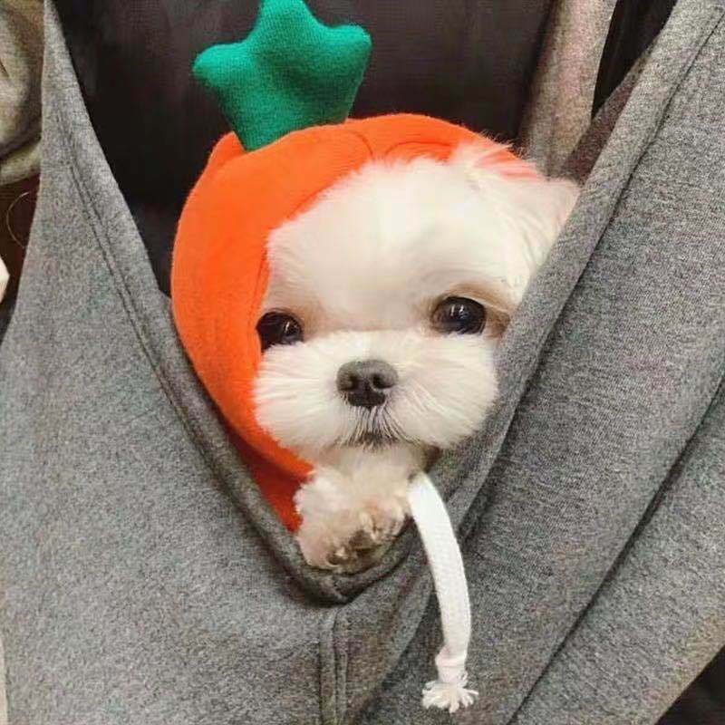 Fruit hats