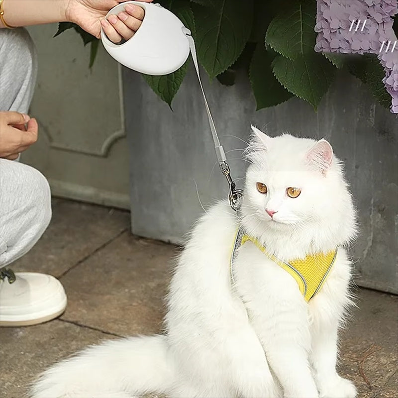 Retractable Leash for Puppies and Small Dogs